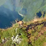 营地 Mobil-home Avec Terrasse - 4 Pers. - Api-1-52-2026 *