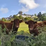 Mobil-home Avec Terrasse - 4 Pers. - Api-1-52-2026 * La Tour-dʼAuvergne