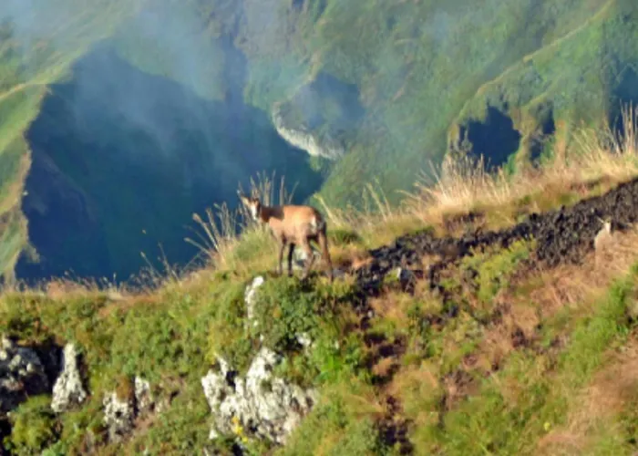 Campsite Mobil-home Avec Terrasse - 4 Pers. - Api-1-52-2026 *