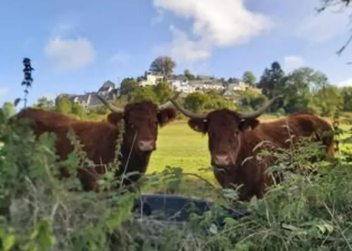 Mobil-home Avec Terrasse - 4 Pers. - Api-1-52-2026 * La Tour-d'Auvergne